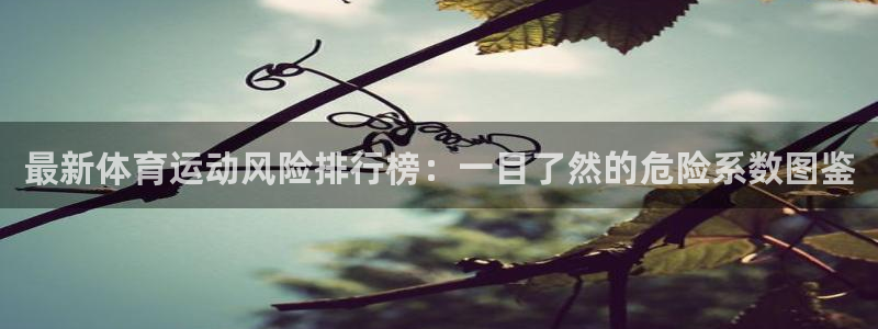 风速体育nba免费直播