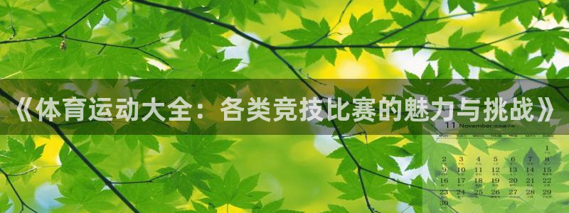 风速体育官网