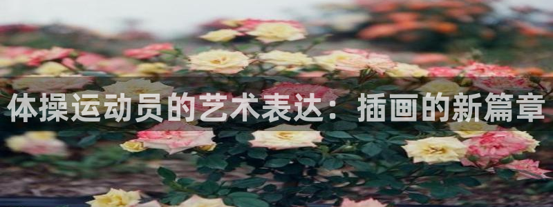 风速体育直播app