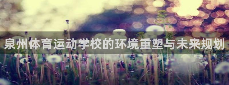 风速体育app