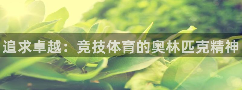 风速体育app官方下载