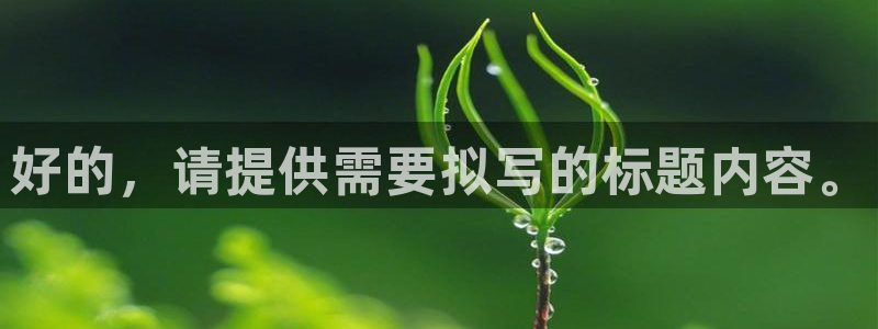 风速体育app下载官网最新版