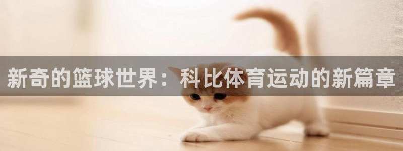 风速体育：新奇的篮球世界：科比体育运动的新篇章