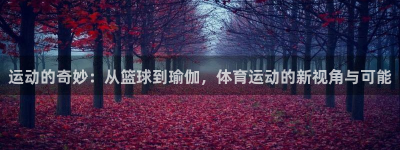 风速体育app：运动的奇妙：从篮球到瑜伽，体育运动的新视角与可能
