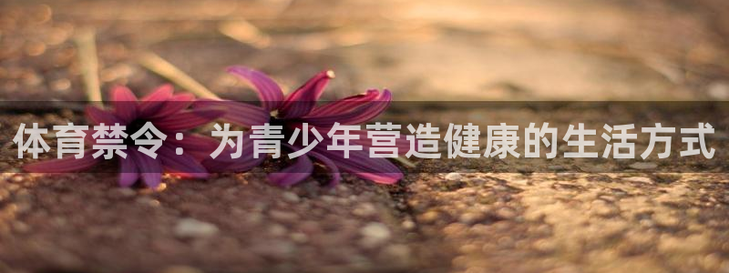风速体育下载：体育禁令：为青少年营造健康的生活方式