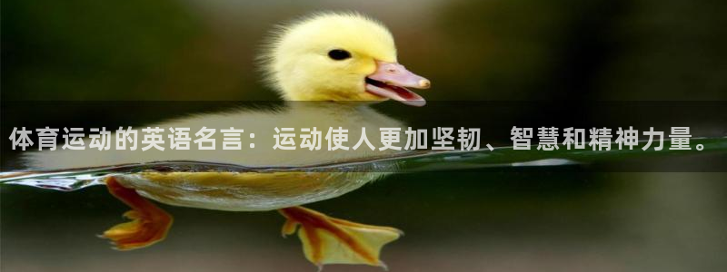 风速体育cba直播
