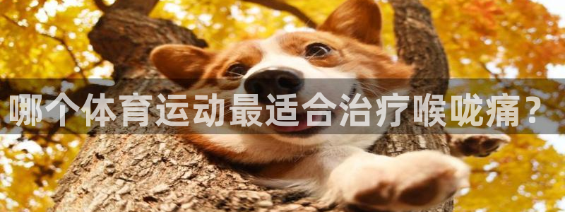 风速体育app下载安装最新版本
