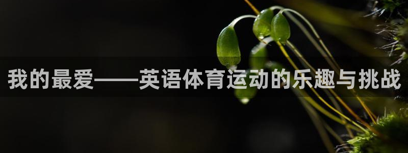 风速体育下载