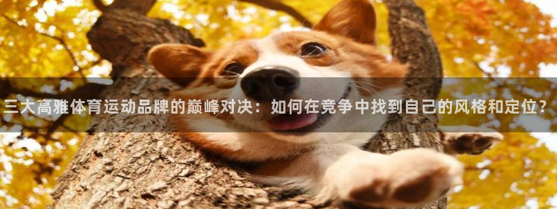 风速体育直播app：三大高雅体育运动品牌的巅峰对决：如何在竞争中找到自己的风格和定位？